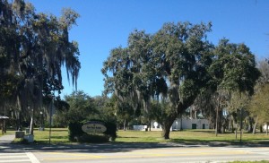 sims park